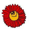 S-Blommor