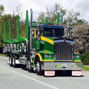 Asset Forestry
