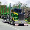 Asset Forestry
