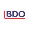 BDO Seidman, LLP