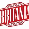 Britania Foods