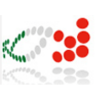 Italian Business & Investment Initiative