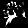 Schulze Global Investments Limited