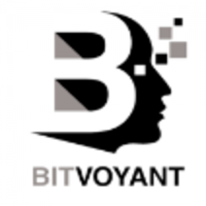 BitVoyant