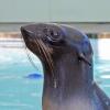 New England Aquarium