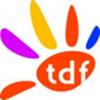 Télédiffusion de France