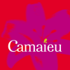 Camaïeu