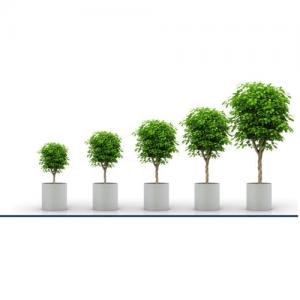 Centana Growth Partners