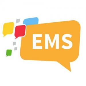 Ethnic Media Sales