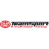 Teamsport