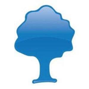 Blue Tree Systems