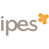 Ipes