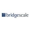 Bridgescale Partners