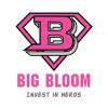 Big Bloom Investment