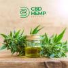 CBD Hemp Experts
