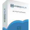 Hybrid MLM