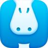 Hippo