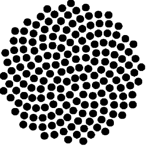 Seed Scientific