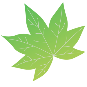MapleGraph Solutions Private Limited