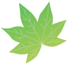 MapleGraph Solutions Private Limited