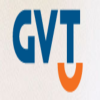 Global Village Telecom (GVT)