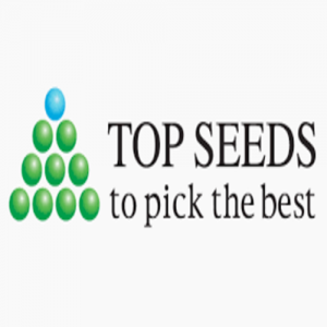 Top Seeds