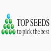 Top Seeds