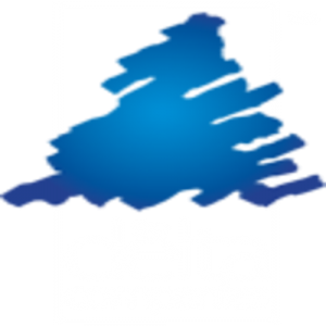 The Delta Companies