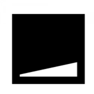 Modest Inc