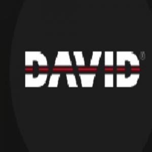 DAVID Vision Systems