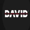 DAVID Vision Systems