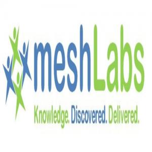 MeshLabs