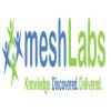 MeshLabs