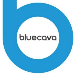 BlueCava