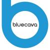 BlueCava