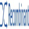Recombinant Data Corp.