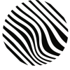 Softkinetic