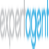 Expert Agent