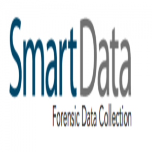 Smart Data Consulting