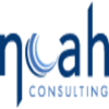 Noah Consulting