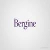 Bergine.com
