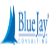 Blue Jay Consulting