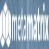 MetaMatrix