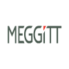Meggitt Target Systems