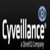 Cyveillance