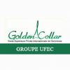 Golden Collar