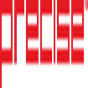 Precise Software Solutions