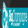 BigChampagne Media Measurement