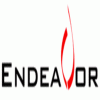 Endeavor Energy