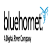 BlueHornet